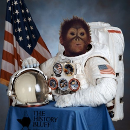 Orangutan Galaxy