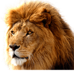 Narnia Group Funds