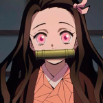Demon Slayer nezuko team