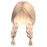 Country Girl Blonde Braids