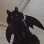 sinstain