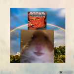 Zack's ###### group