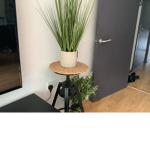 Help plants grow