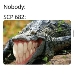 nice fight game group