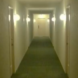 BACKROOMS