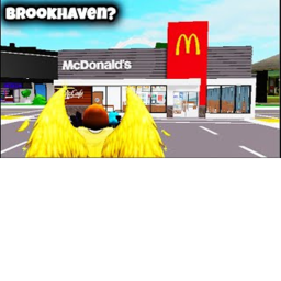 Brookhaven Mcdonald's