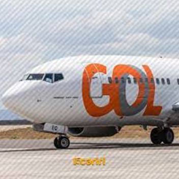 sobreviva a queda do avião