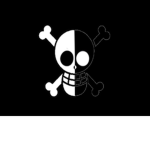 The Dark Void Pirates