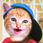 Kewl Cats