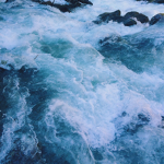 saltyywaves