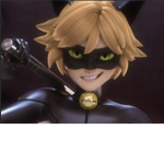 CatNoir fan club