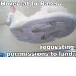 Random/Development/Group
