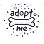 Adopt me fan group (: