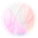 Harmony