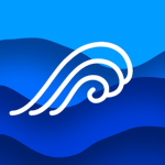 BlueWave Airlines