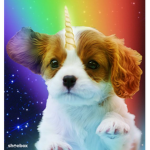 #unipuppy squad yaasss