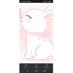 bunny fan group!!!!!!!
