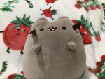 Pusheen’s friend club