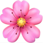 Rosies Group official