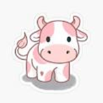 AESTHETIC MULTICOLOURED COWS