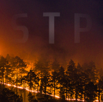 Scorched Taiga Project