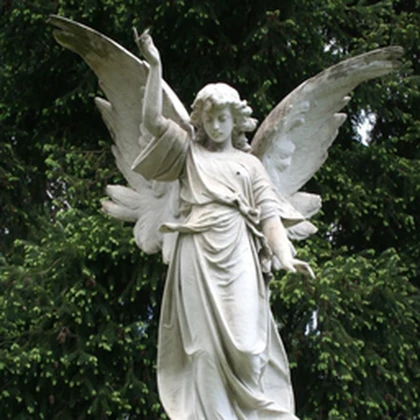 Group Icon