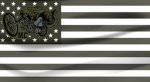 -+=South Carolina=+-