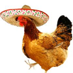 Once upon a chicken