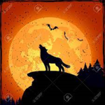 Timber Wolf Productions