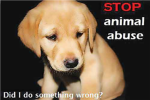 please stop animal abuse by joining. please help