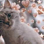 Be loved <3