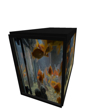 Fish Tank