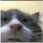 DirtbagzMC