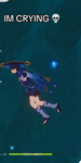 Genshin fannsss