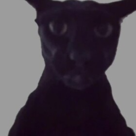 Evil Larry [Horror]