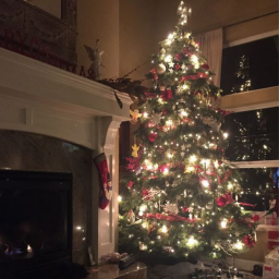 🎄