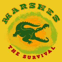 Marshes (Testing)