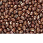 le bean cult