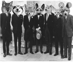 Doge and cheem's mafia