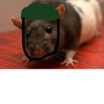 Rat kindom army