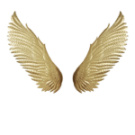 Wings_Studio