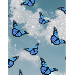 BlueButterflys Squad!!