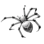 Black & White Widow