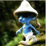 Smurf cats group2578