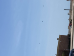 Swords healing and truth