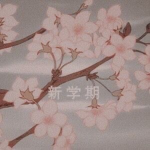 fleurs apparel
