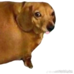 Stawberry._.cow._club