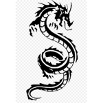 白龙|||White Dragons|||