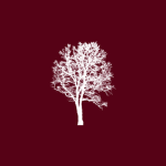 Redwood Education