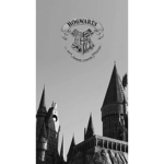 Harry Potter is won of the best movies
